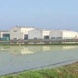 陽春田植え時期の関東工場