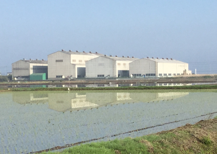 陽春田植え時期の関東工場