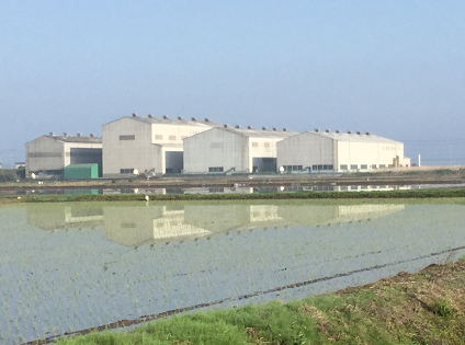 陽春田植え時期の関東工場