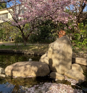 桜守と鏡板守