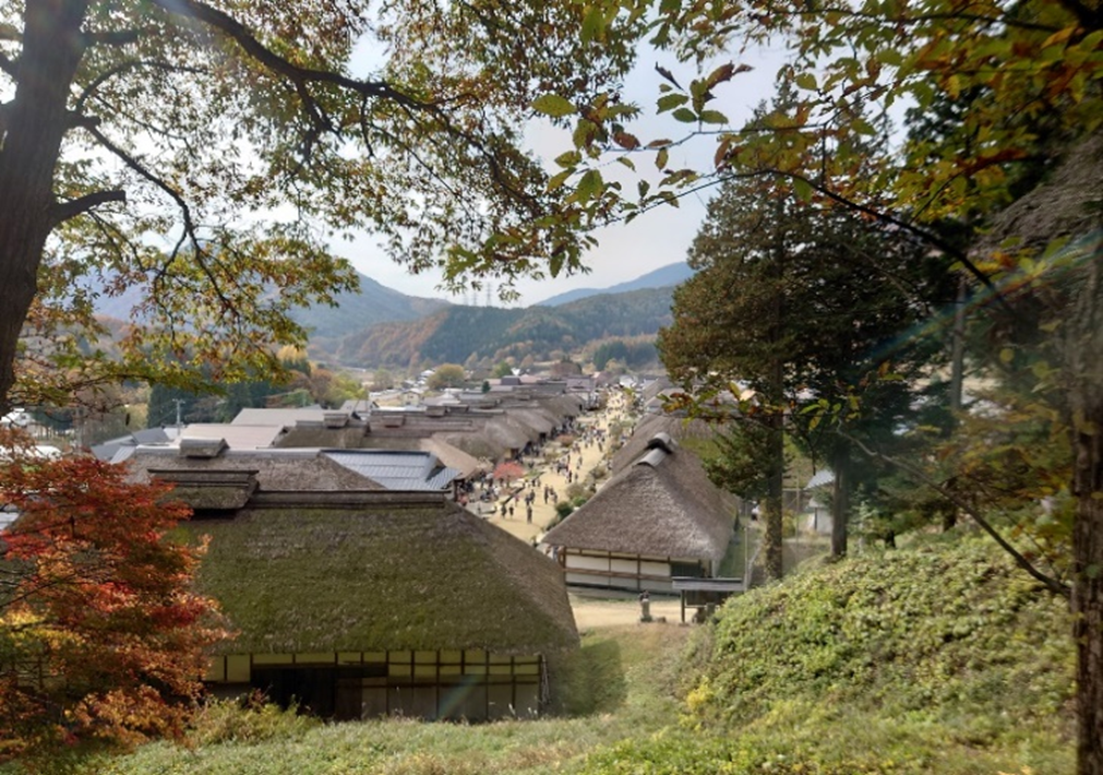 会津の紅葉と桜肉